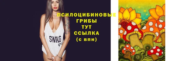 трава Лабытнанги