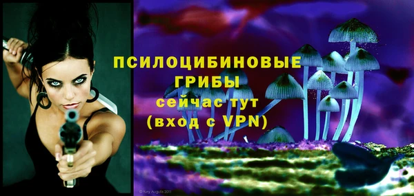 стаф Лихославль