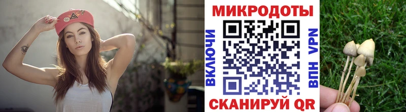 купить наркотики цена  Фокино  Псилоцибиновые грибы ЛСД 
